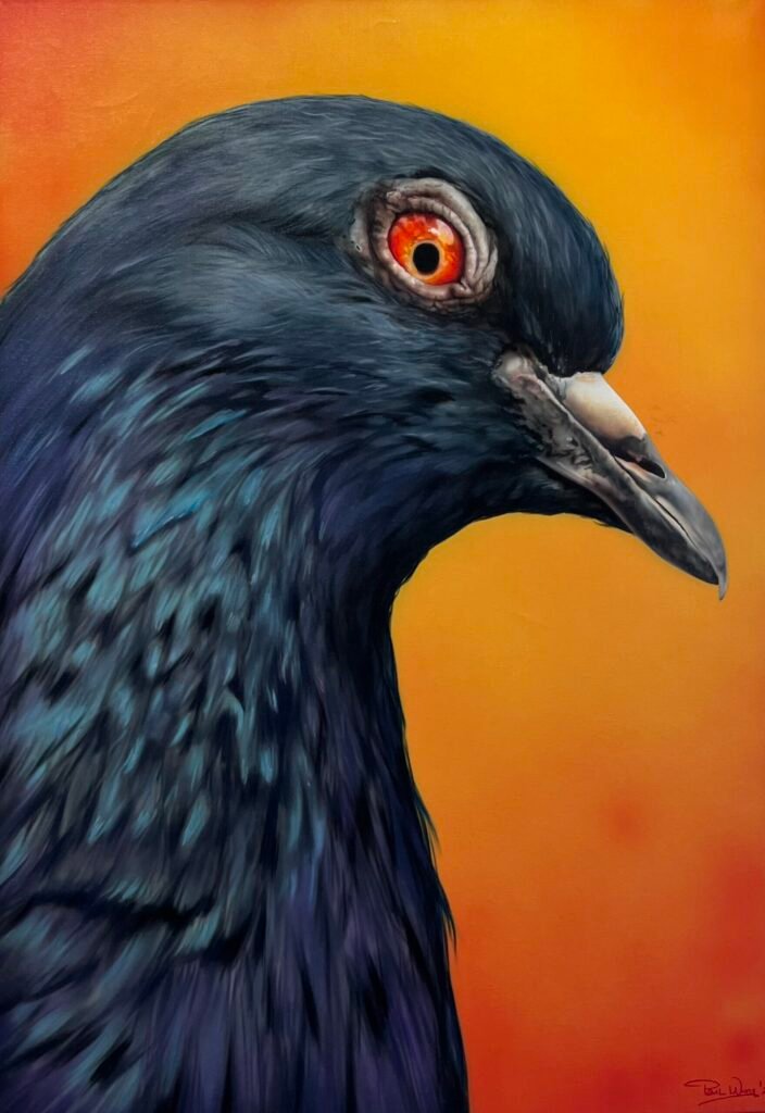 Pidgeon