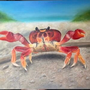Red Land Crab