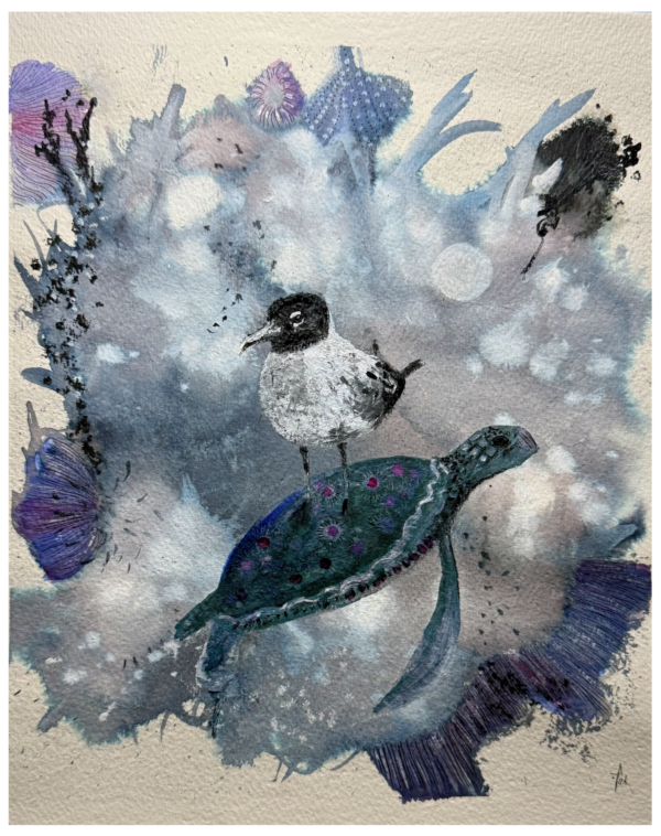 Sea Turtle & Bird