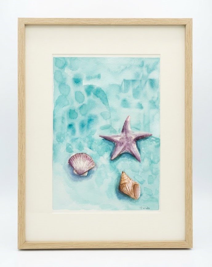 Shells on the shore